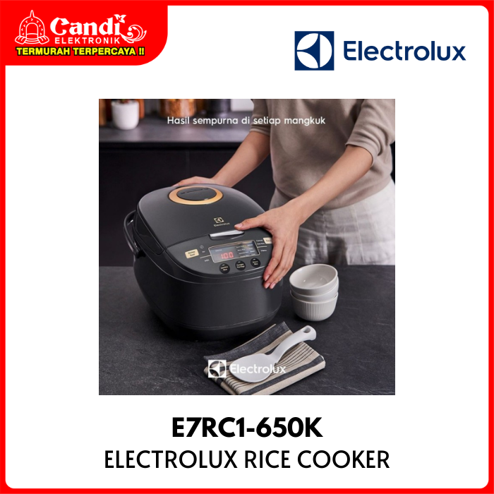 Electrolux Rice Cooker